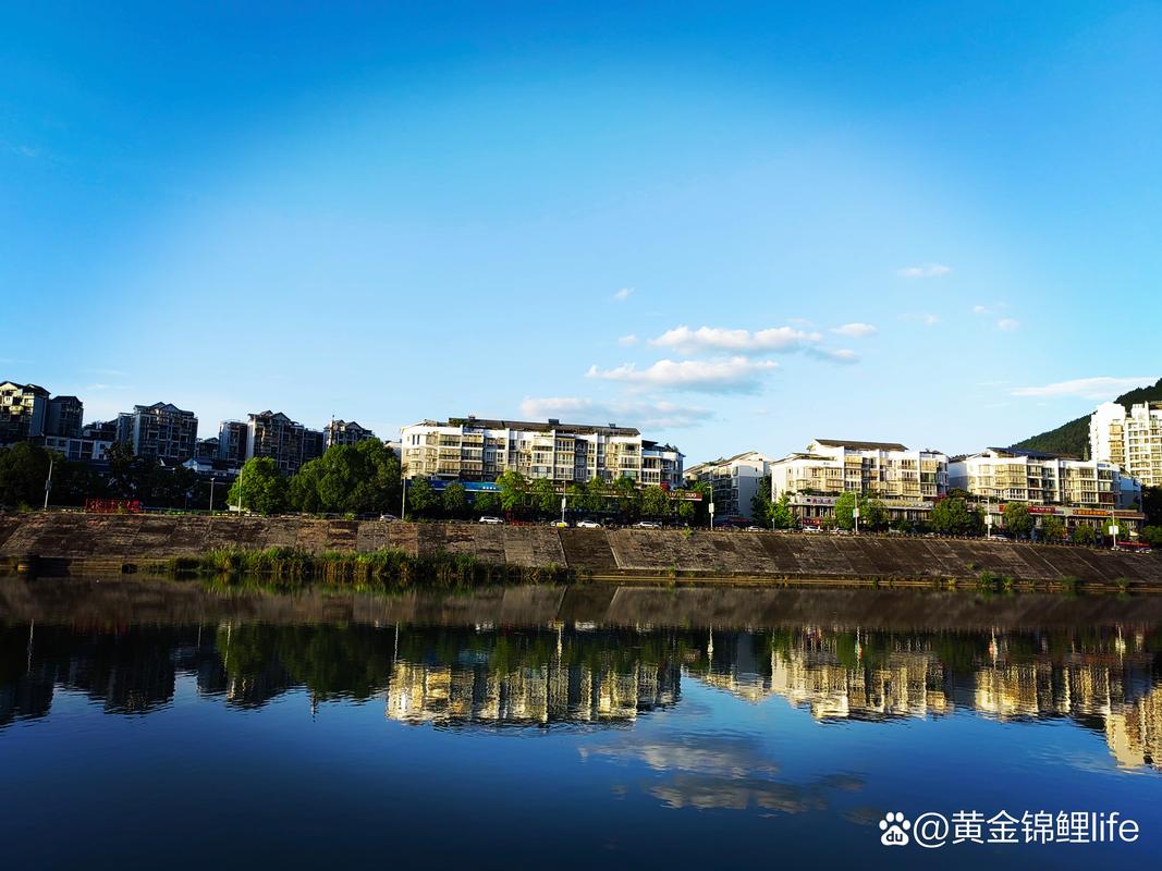 下寺房价