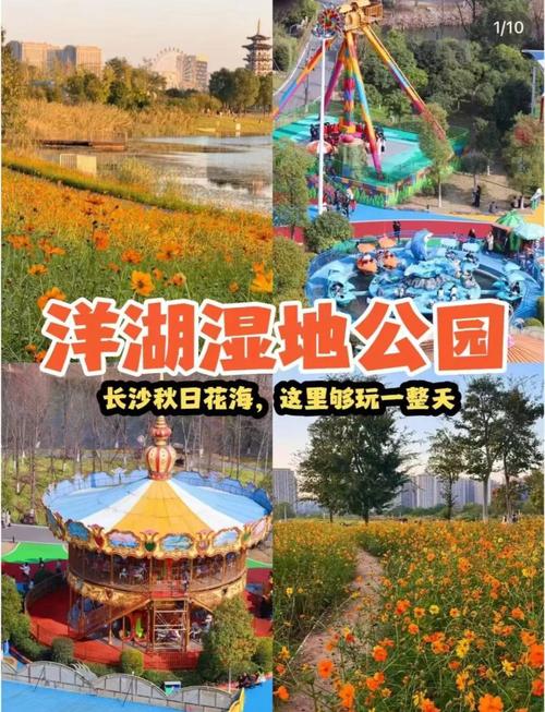 洋湖湿地公园楼盘价格