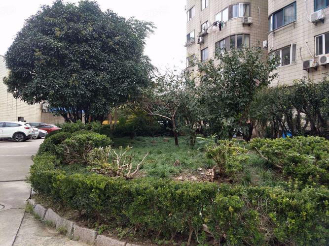 金龙花园把