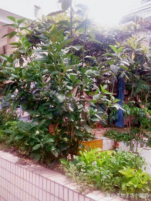金龙花园把