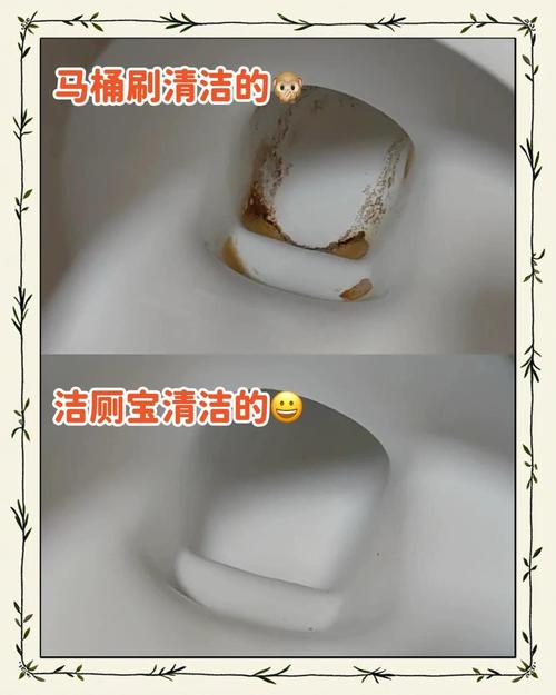 租房子的马桶怎么消毒