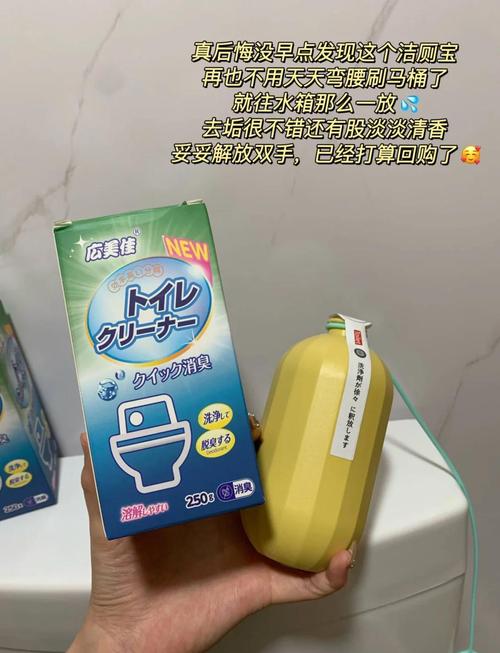 租房子的马桶怎么消毒