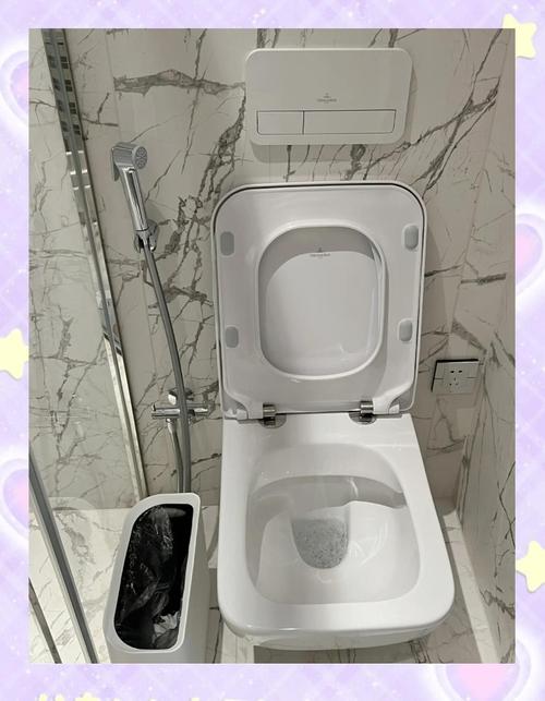 租房子的马桶怎么消毒