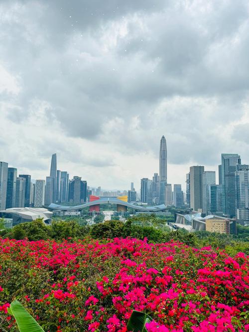 深圳莲花山房价