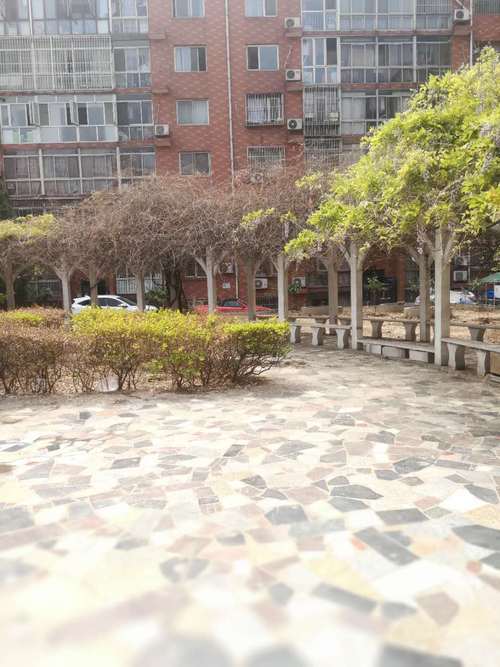 中泰世纪花园