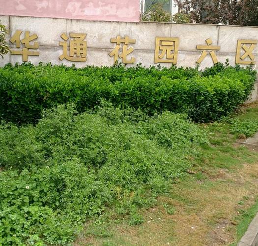 华通花园吧