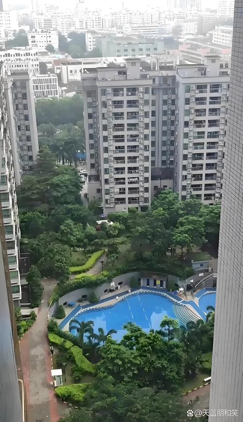 沙井在售楼盘