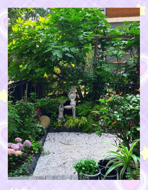 北面花园设计