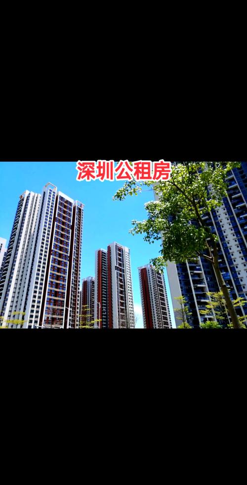 深圳公租房怎么排队快