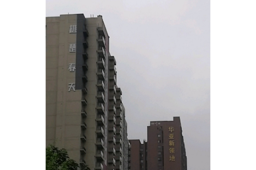 雄楚春天小区楼盘情况
