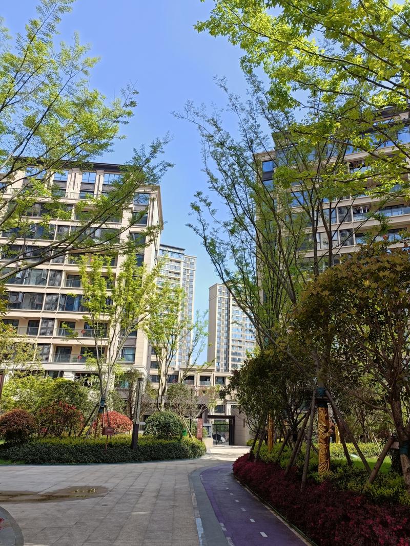 永康森林公园附近楼盘