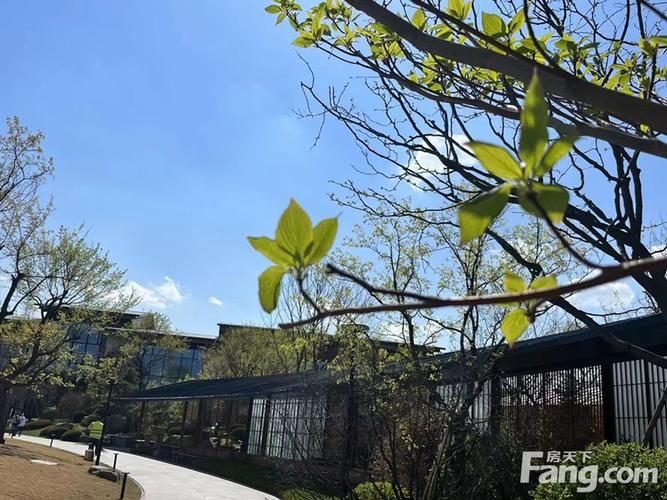 沈阳浑南万科楼盘
