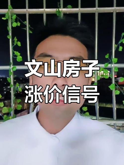 云南文山全新楼盘房价
