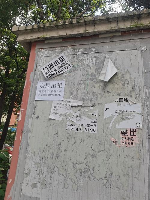 租房子怎么那么难