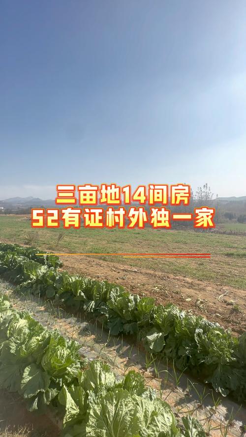 黄岛王台新楼盘房价