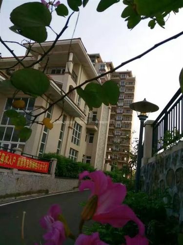 临高海豚花园