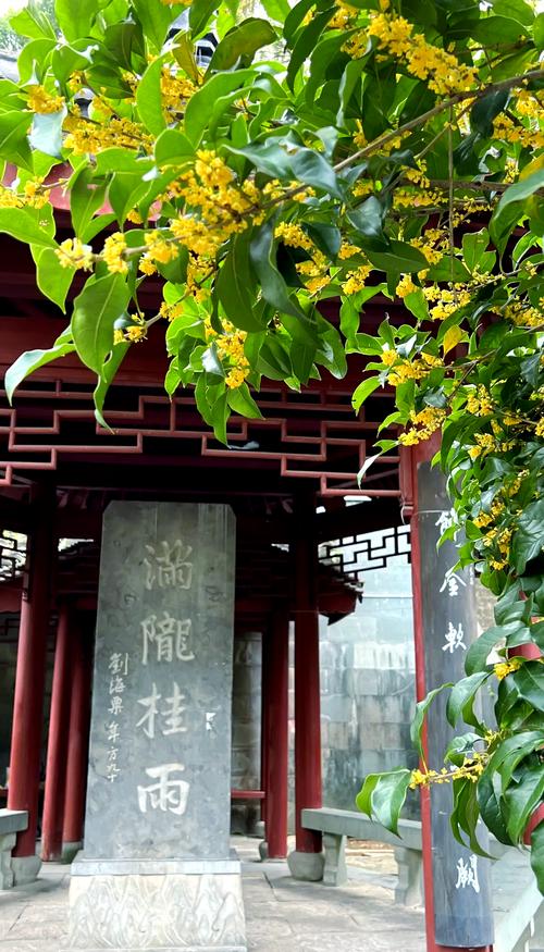 潮州桂花园