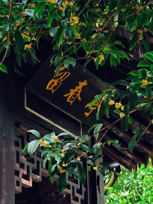 潮州桂花园