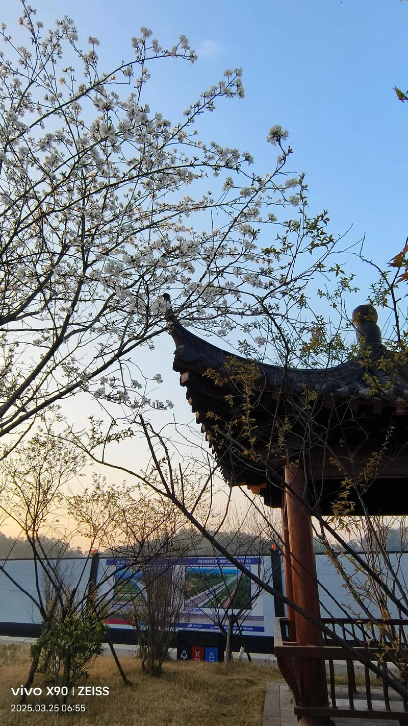 北京市朝阳区樱花园东街