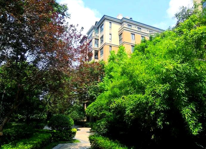 绿城百合花园业主论坛