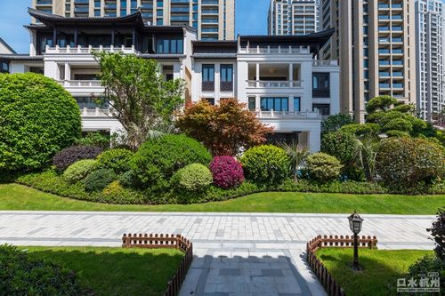杭州滨江华家池楼盘
