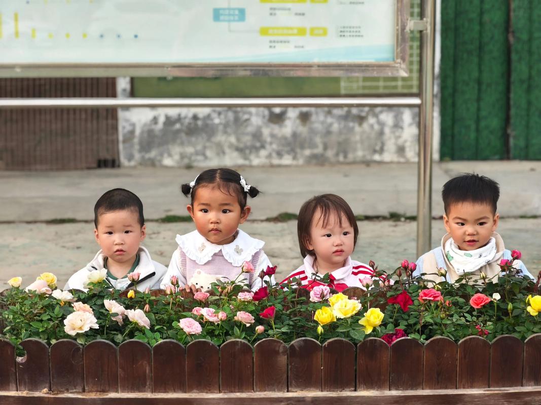 上海市徐汇区樱花园小学