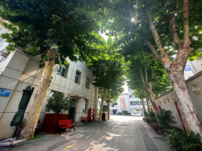 济南市花园路第二小学