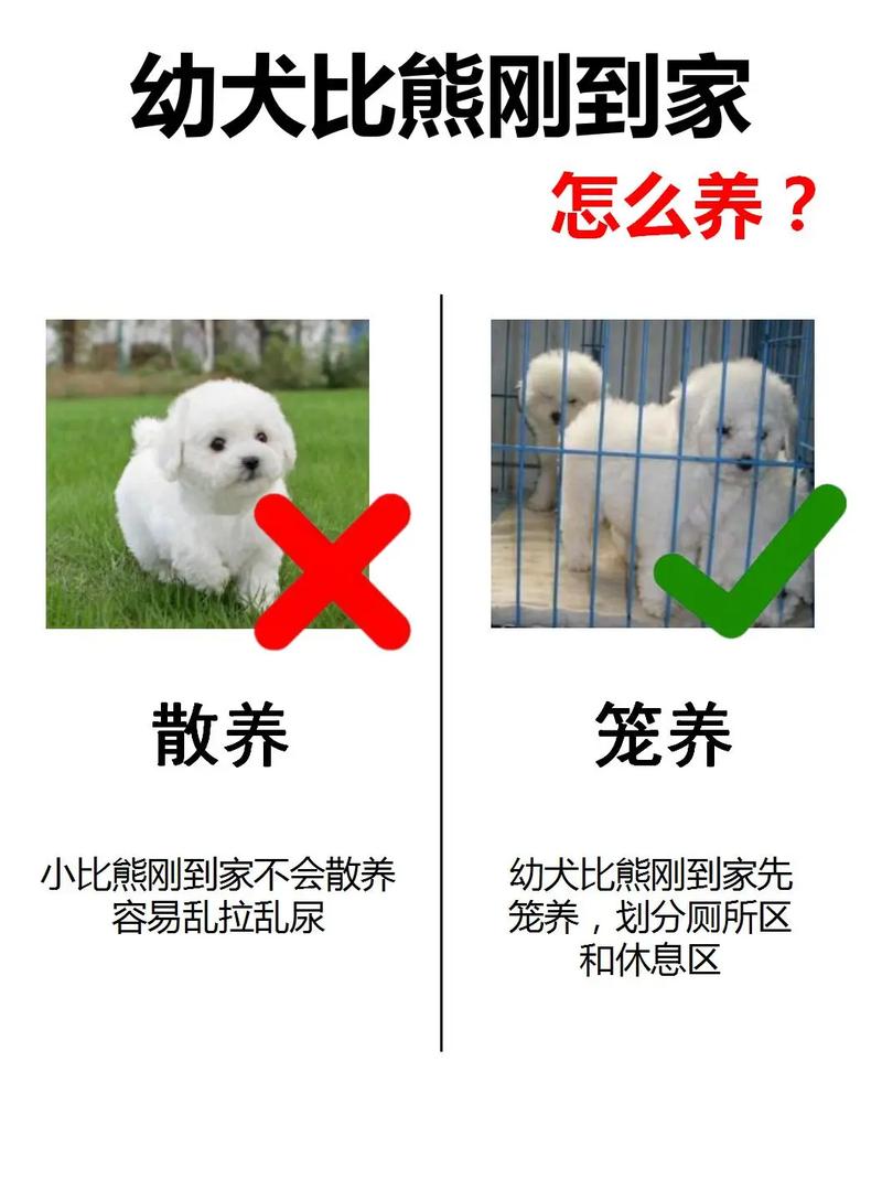 租房怎么养狗