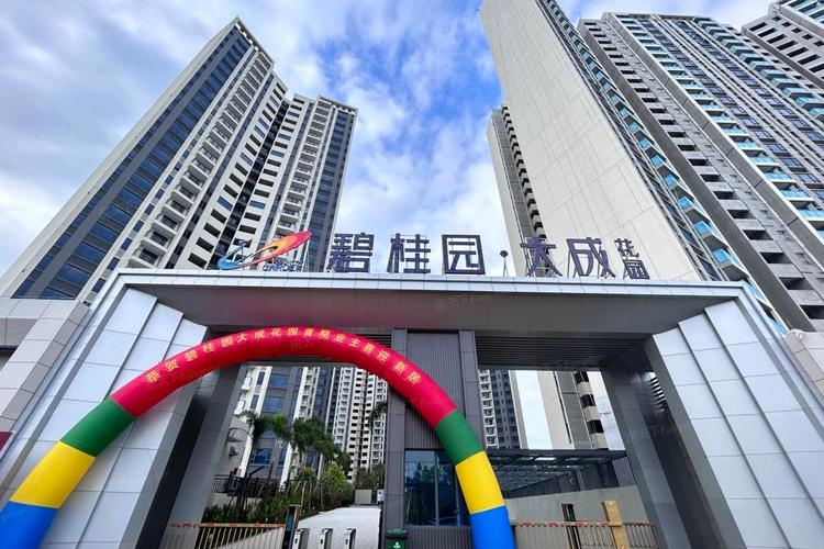 廉江哪个楼盘便又好
