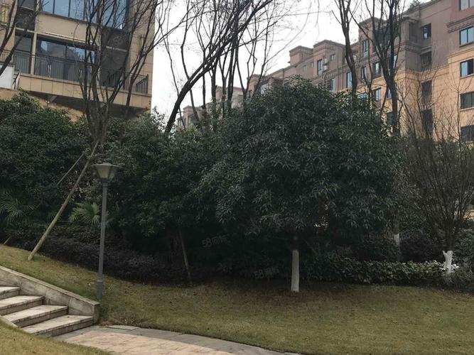 涪陵泽胜温泉城房价