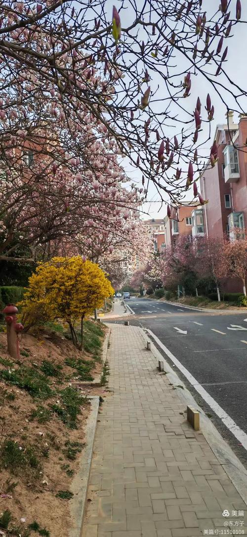 鲁信长春花园业主论坛