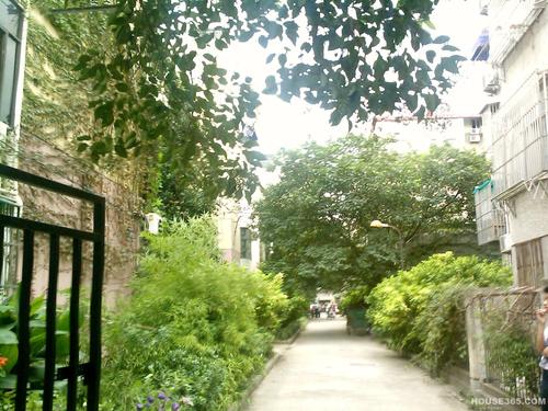 凤凰花园城小学学区房