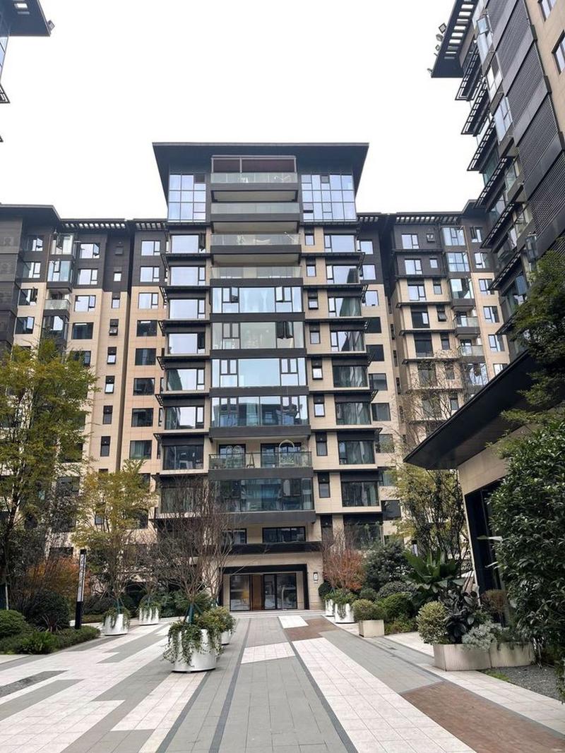 成都市武侯区新楼盘