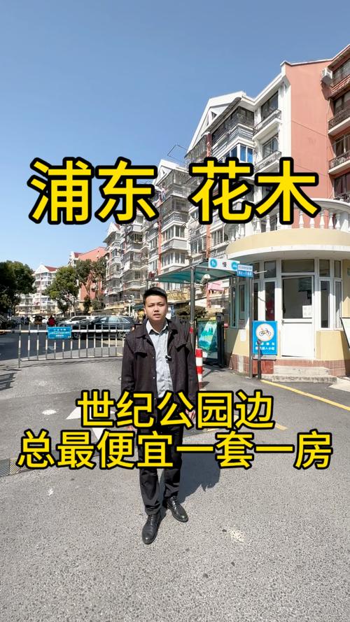 公园路房价