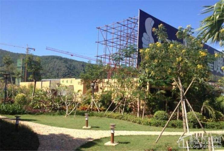 山林君悦楼盘业主论谈