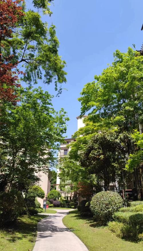 温江一环以内楼盘