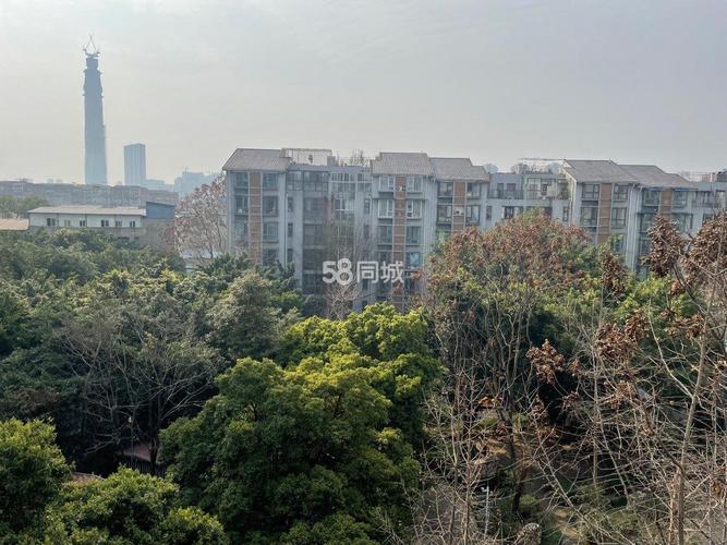 大观城市花园二手房