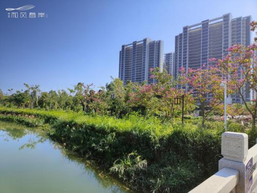 惠州市江北楼盘