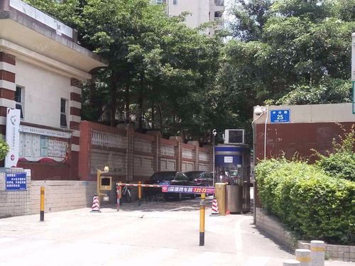 布吉吉大花园二手房