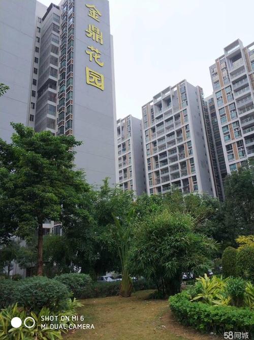 阳春金鼎花园二手房