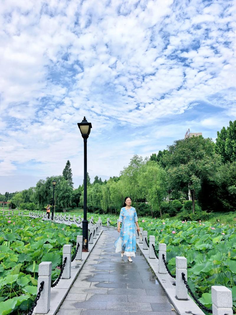 徐望镇荷花园怎么走