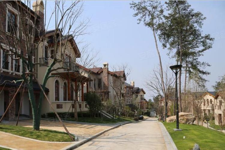 千岛湖柏润国际花园