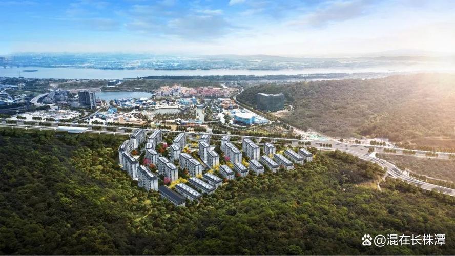 大王山附近好的楼盘