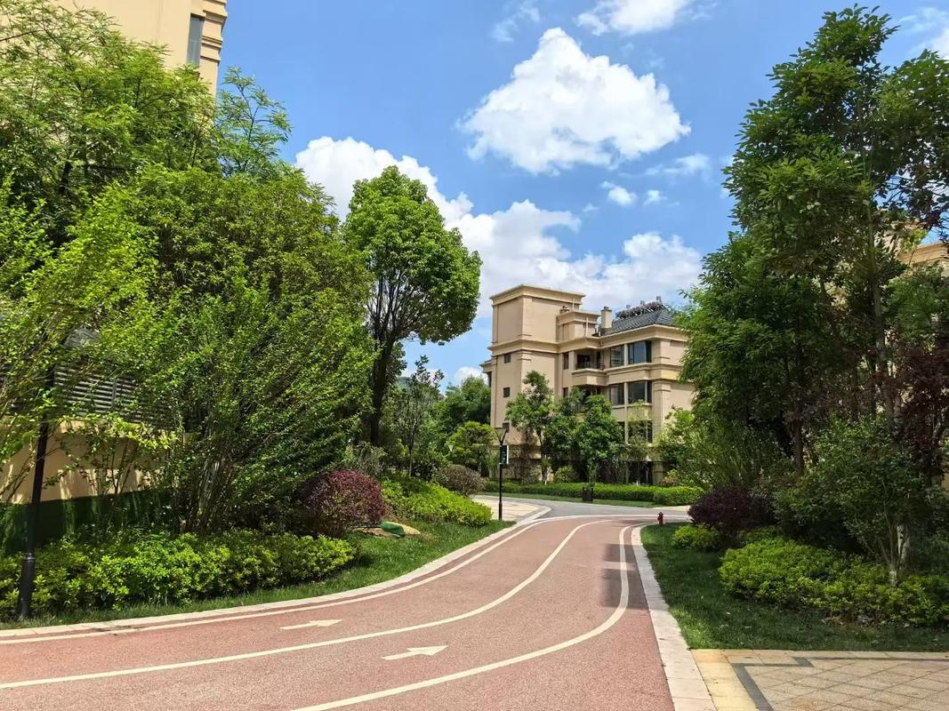 盘龙城在售新楼盘