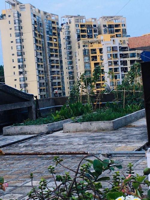 珠海金钟花园二手房