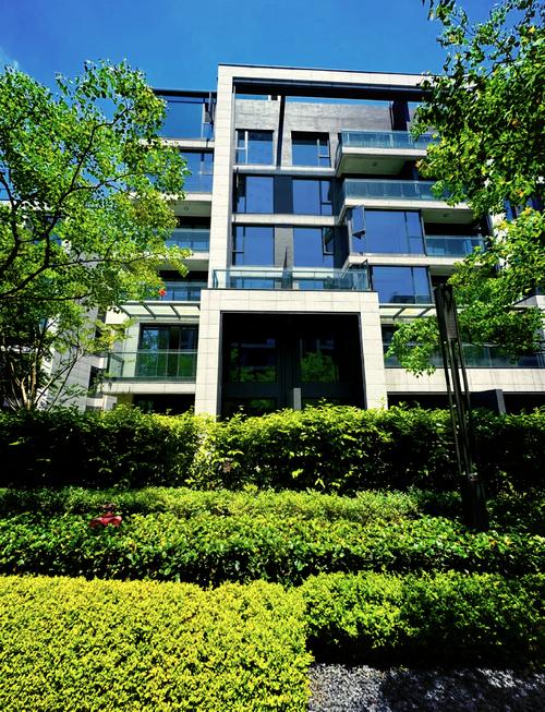 成都天府新区别墅楼盘