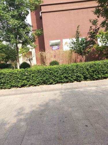 宁晋房价多少钱一平