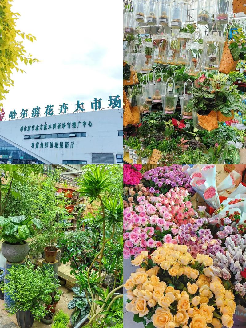 哈尔滨原花卉市场楼盘