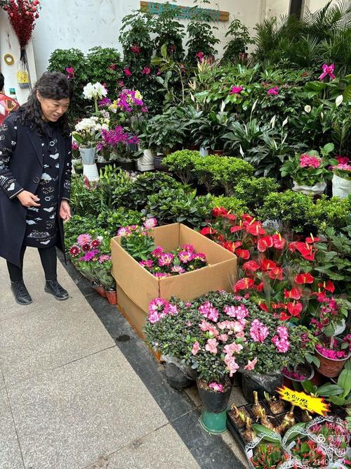 哈尔滨原花卉市场楼盘