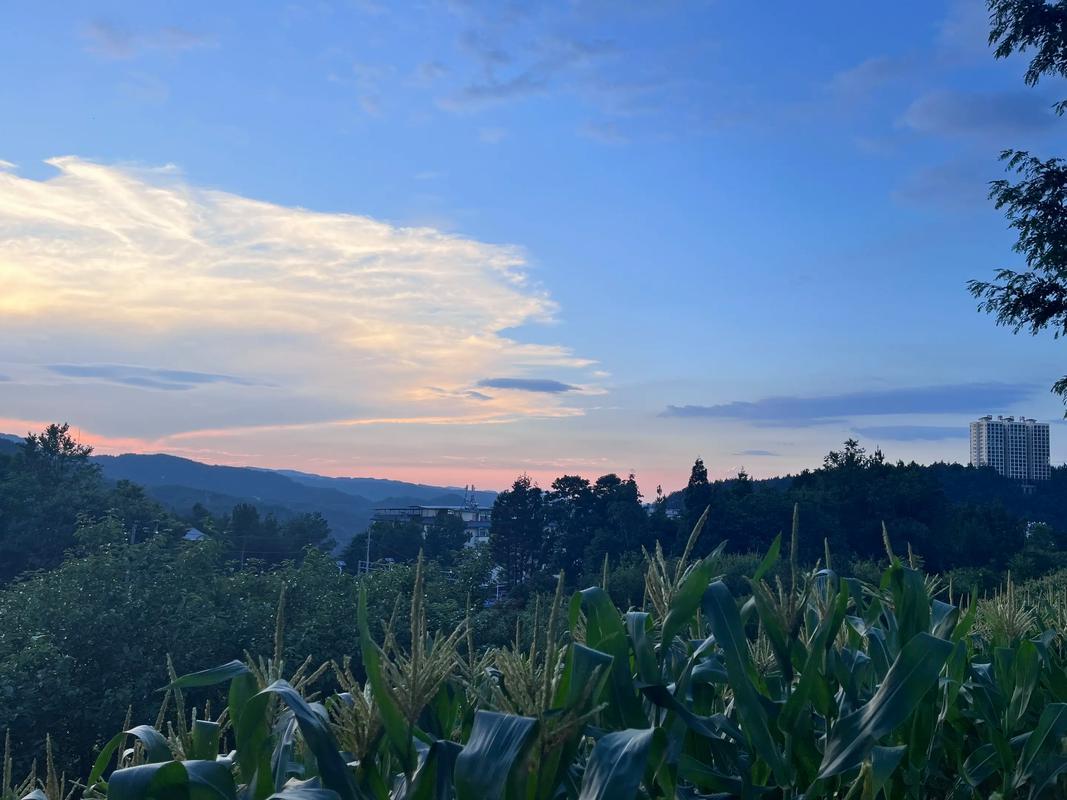 湖北利川苏马荡房价